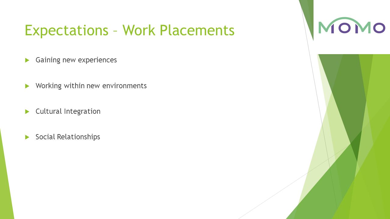 Expectations – Work Placements  Gaining new experiences  Working within new environments  Cultural Integration  Social Relationships