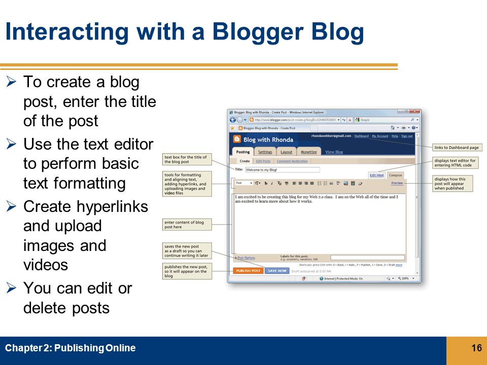 Interacting with a Blogger Blog  To create a blog post, enter the title of the post  Use the text editor to perform basic text formatting  Create hyperlinks and upload images and videos  You can edit or delete posts Chapter 2: Publishing Online16