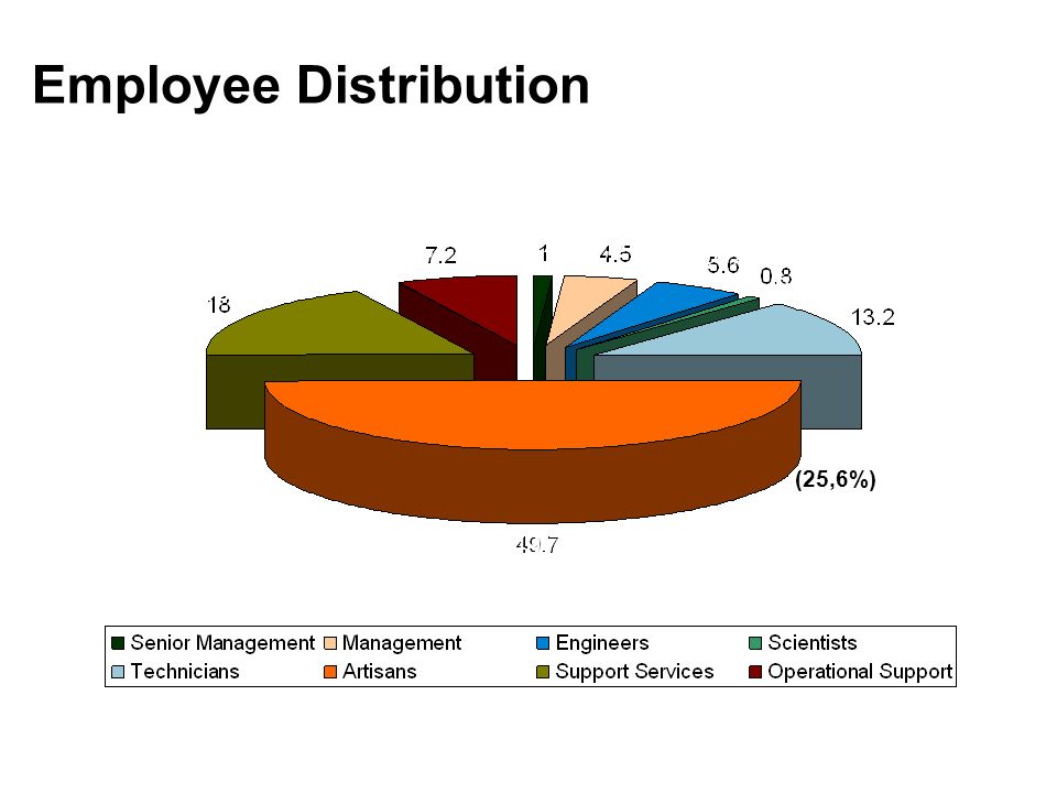 31 Employee Distribution (25,6%) 49,7% 18% 7,2% 1% 4,5% 5,6% 0,8% 13,2%