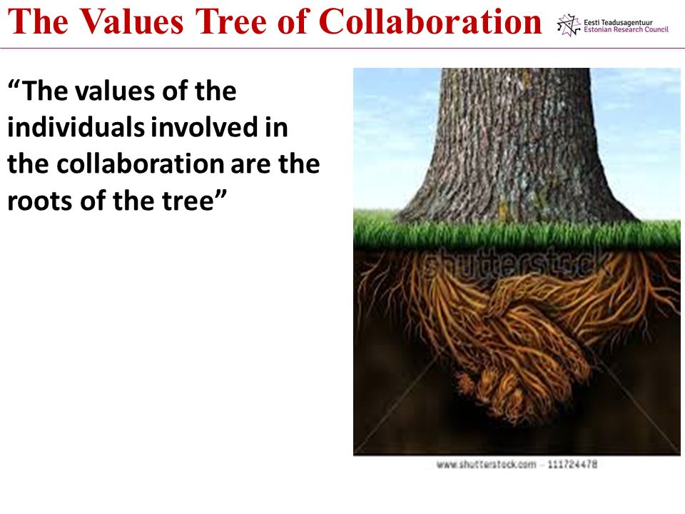 The Values Tree of Collaboration The values of the individuals involved in the collaboration are the roots of the tree