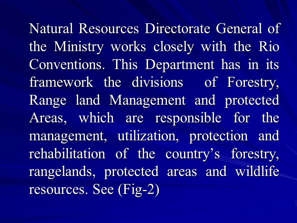 Natural Resources Directorate General of the Ministry works closely with the Rio Conventions.