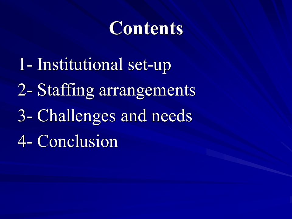 Contents 1- Institutional set-up 2- Staffing arrangements 3- Challenges and needs 4- Conclusion