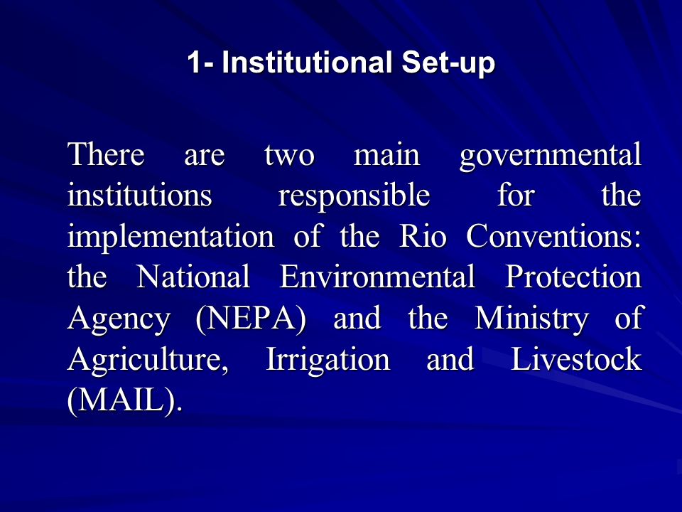 1- Institutional Set-up There are two main governmental institutions responsible for the implementation of the Rio Conventions: the National Environmental Protection Agency (NEPA) and the Ministry of Agriculture, Irrigation and Livestock (MAIL).