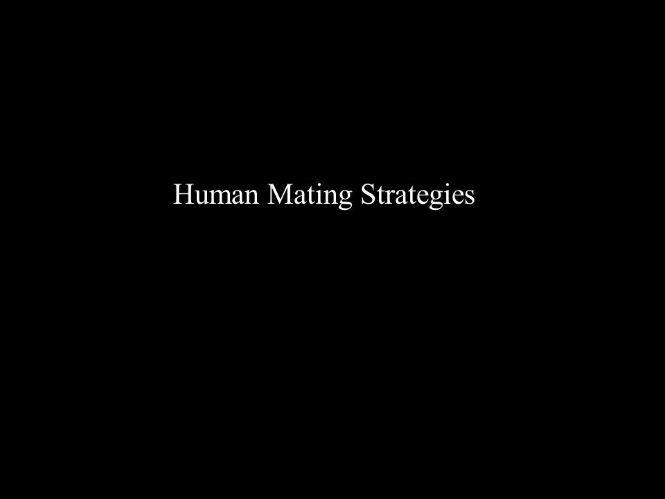 Human Mating Strategies