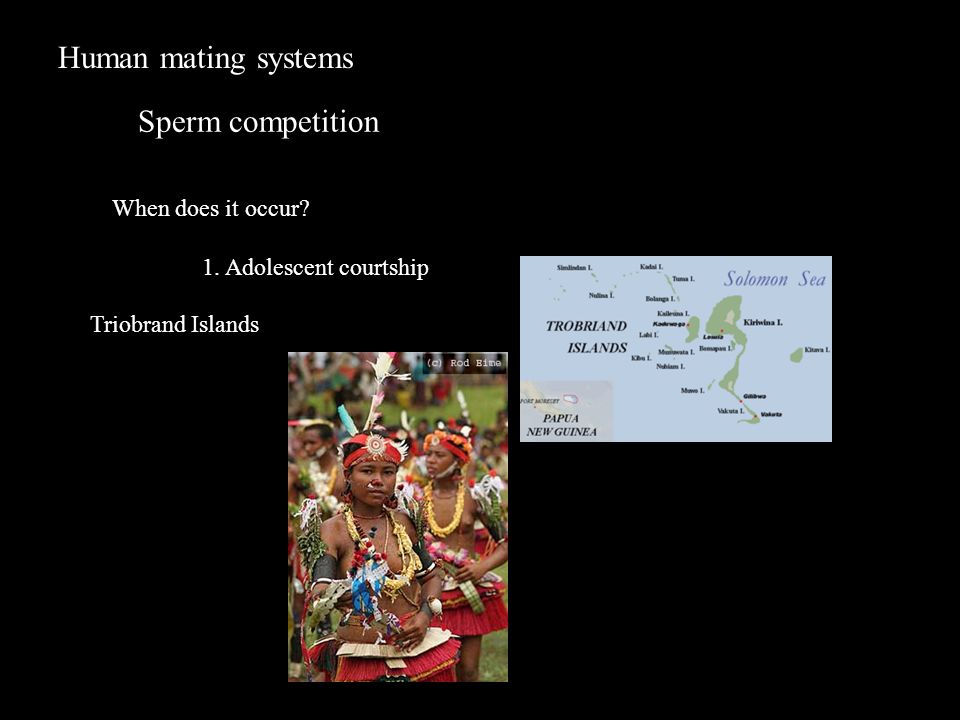 Human mating systems Sperm competition When does it occur.