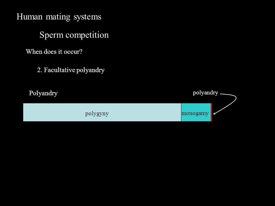 Human mating systems Sperm competition When does it occur.
