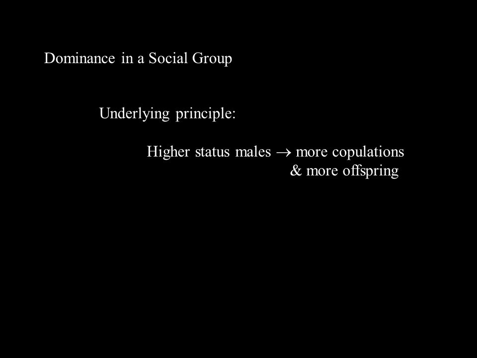 Dominance in a Social Group Underlying principle: Higher status males  more copulations & more offspring
