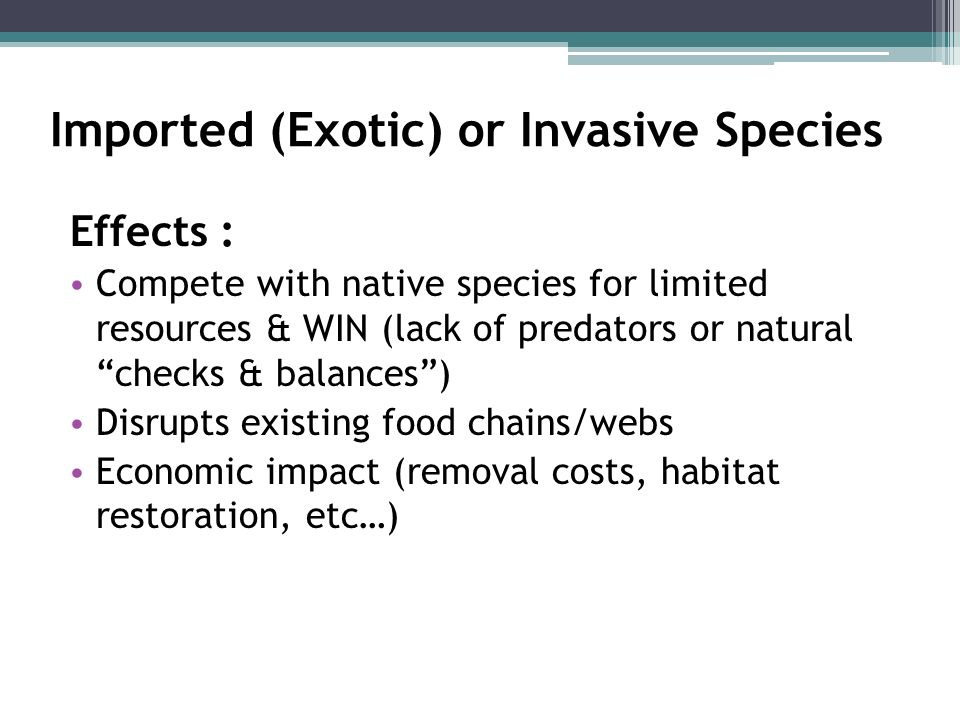 Imported (Exotic) or Invasive Species Effects : Compete with native species for limited resources & WIN (lack of predators or natural checks & balances ) Disrupts existing food chains/webs Economic impact (removal costs, habitat restoration, etc…)