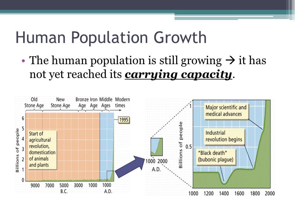 Human Population Growth The human population is still growing  it has not yet reached its carrying capacity.
