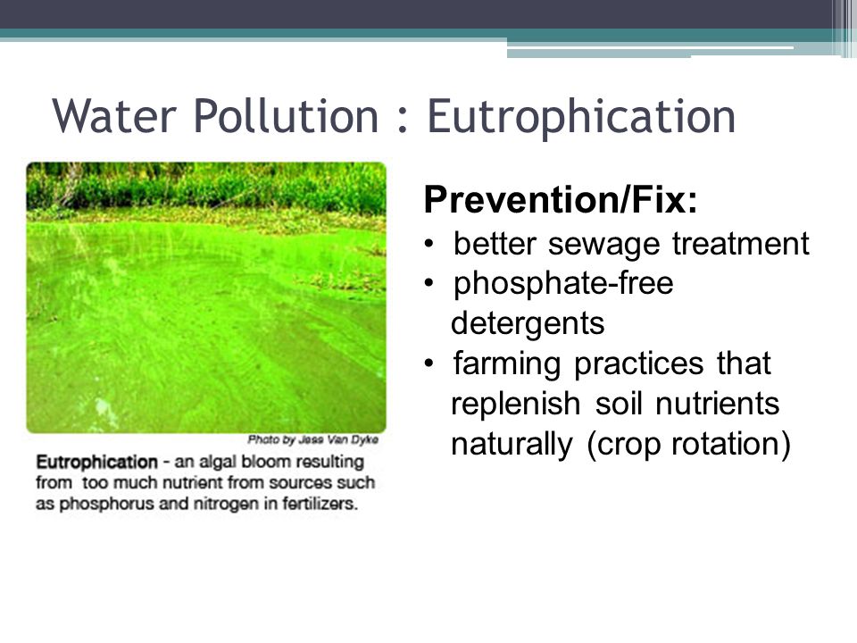 Prevention/Fix: better sewage treatment phosphate-free detergents farming practices that replenish soil nutrients naturally (crop rotation)