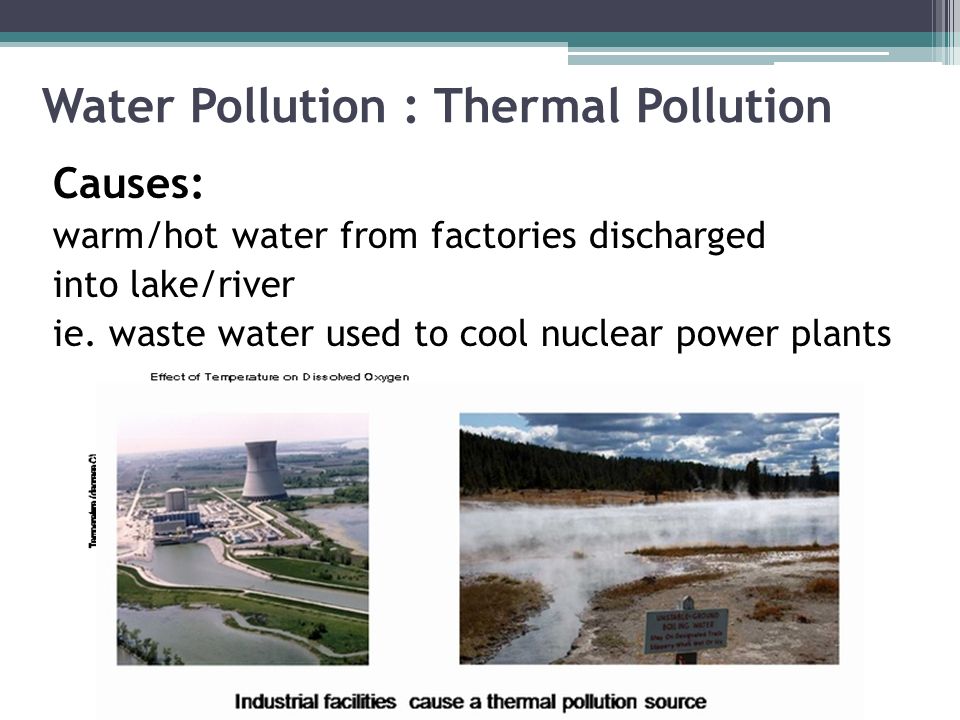 Water Pollution : Thermal Pollution Causes: warm/hot water from factories discharged into lake/river ie.