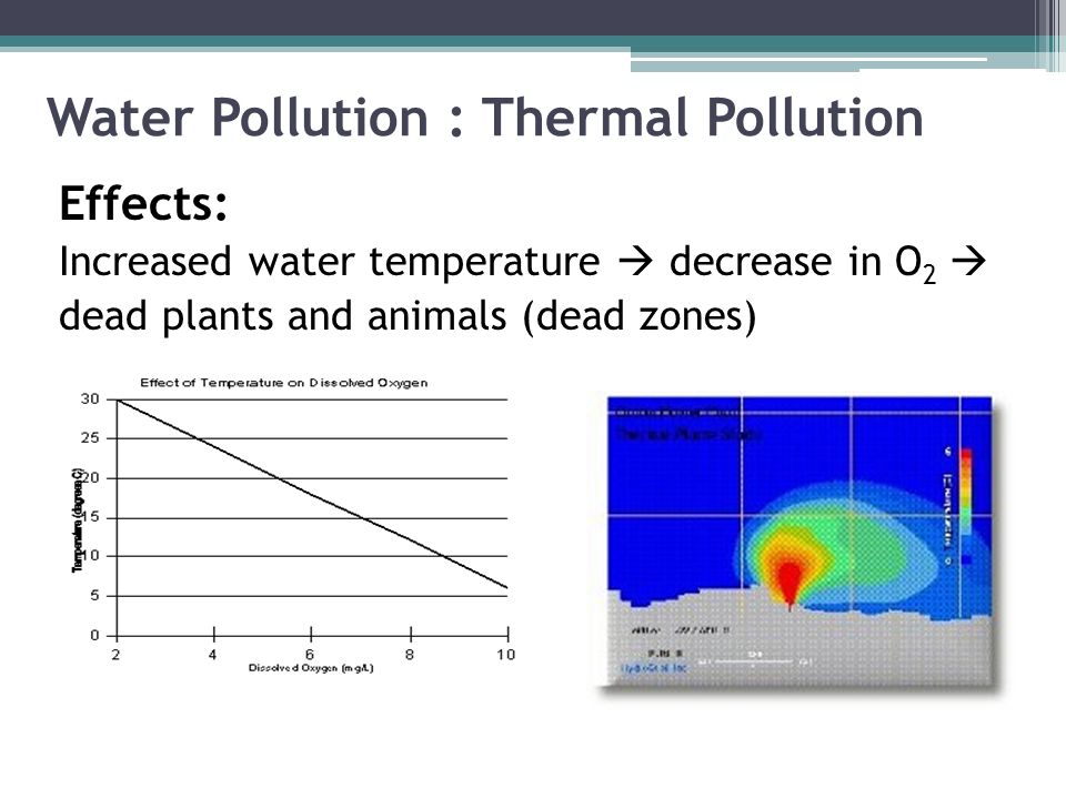 Water Pollution : Thermal Pollution Effects: Increased water temperature  decrease in O 2  dead plants and animals (dead zones)