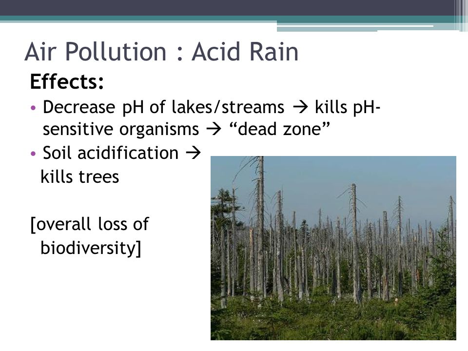 Air Pollution : Acid Rain Effects: Decrease pH of lakes/streams  kills pH- sensitive organisms  dead zone Soil acidification  kills trees [overall loss of biodiversity]