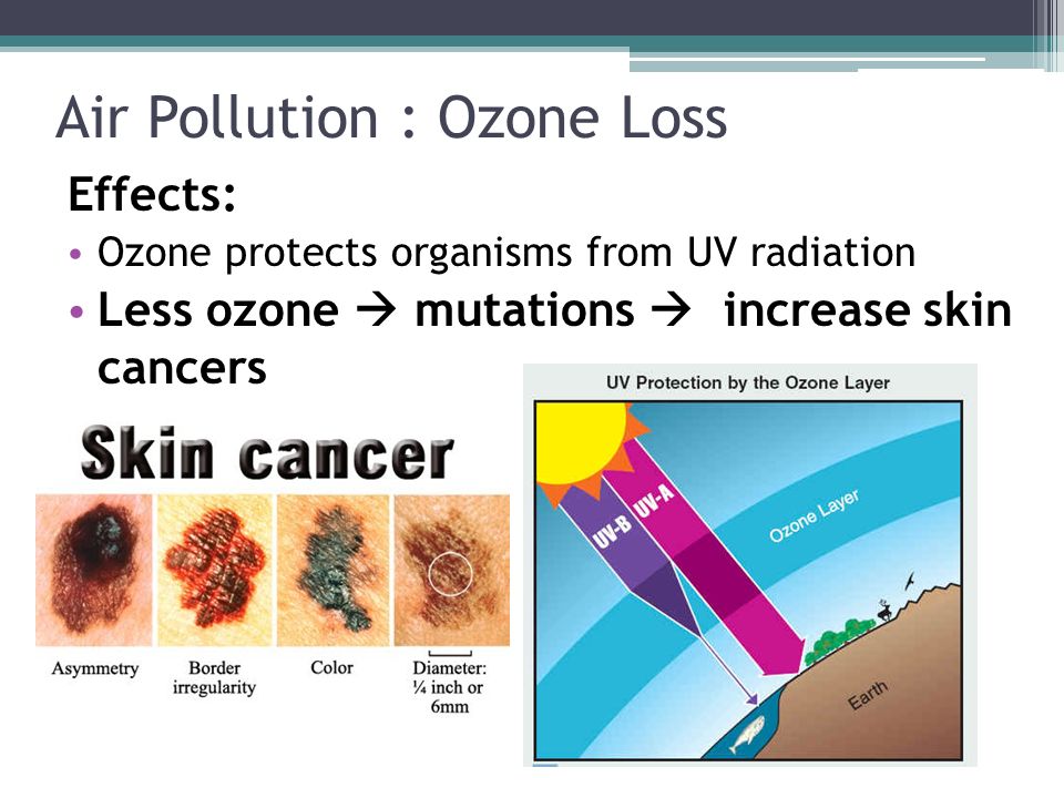 Air Pollution : Ozone Loss Effects: Ozone protects organisms from UV radiation Less ozone  mutations  increase skin cancers