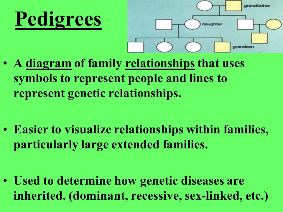 EXCEPTIONS TO MENDELIAN GENETICS Since Mendel worked his magic, scientists have learned much more about heredity. Not all traits are inherited in the simple. - ppt download