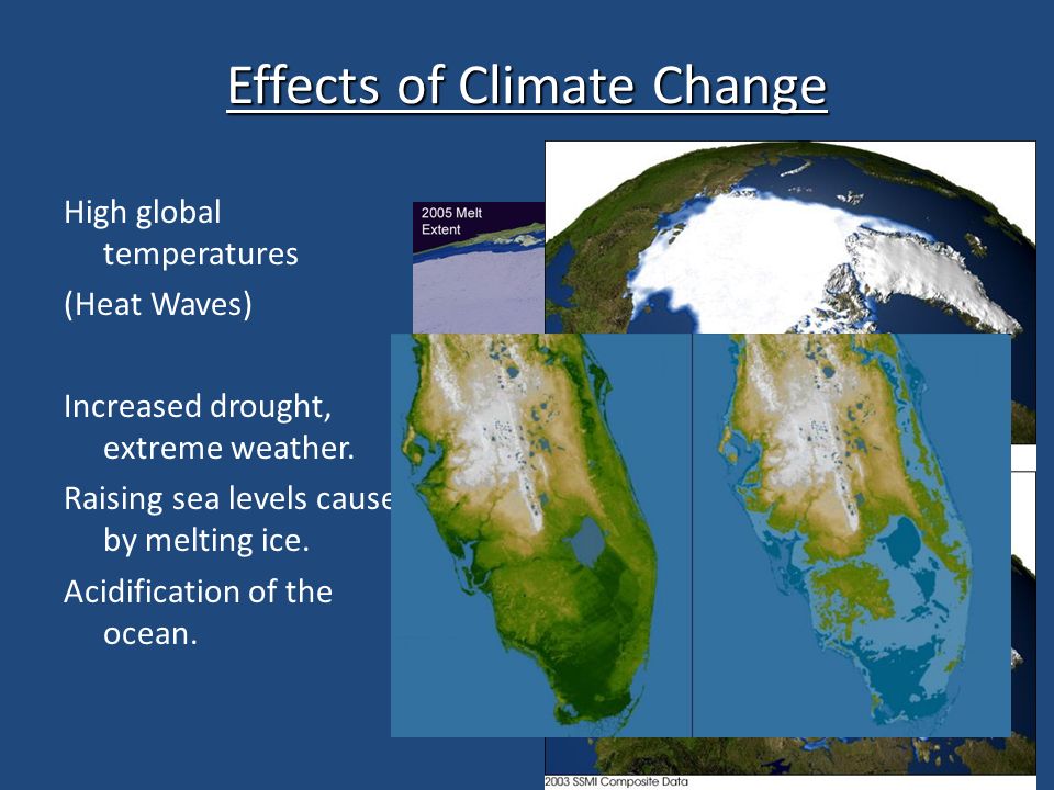 Effects of Climate Change High global temperatures (Heat Waves) Increased drought, extreme weather.