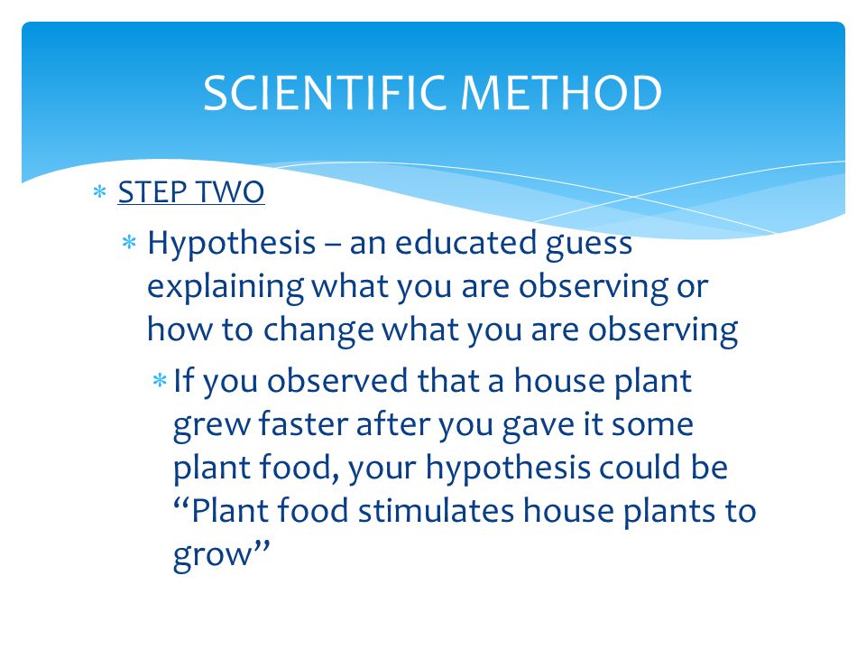  STEP TWO  Hypothesis – an educated guess explaining what you are observing or how to change what you are observing  If you observed that a house plant grew faster after you gave it some plant food, your hypothesis could be Plant food stimulates house plants to grow SCIENTIFIC METHOD