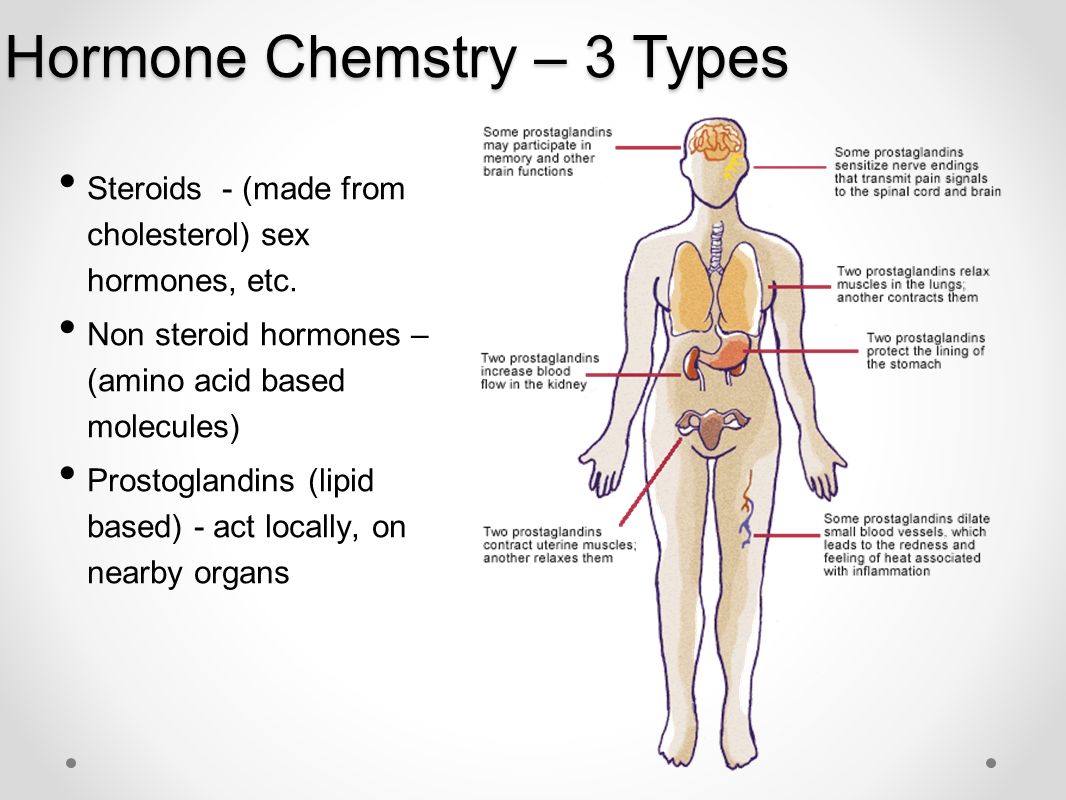 The Endocrine System. Part 1 What is the system? What are hormones? What  are the main structures of this system? Describe the basics of hormone  chemistry. - ppt download