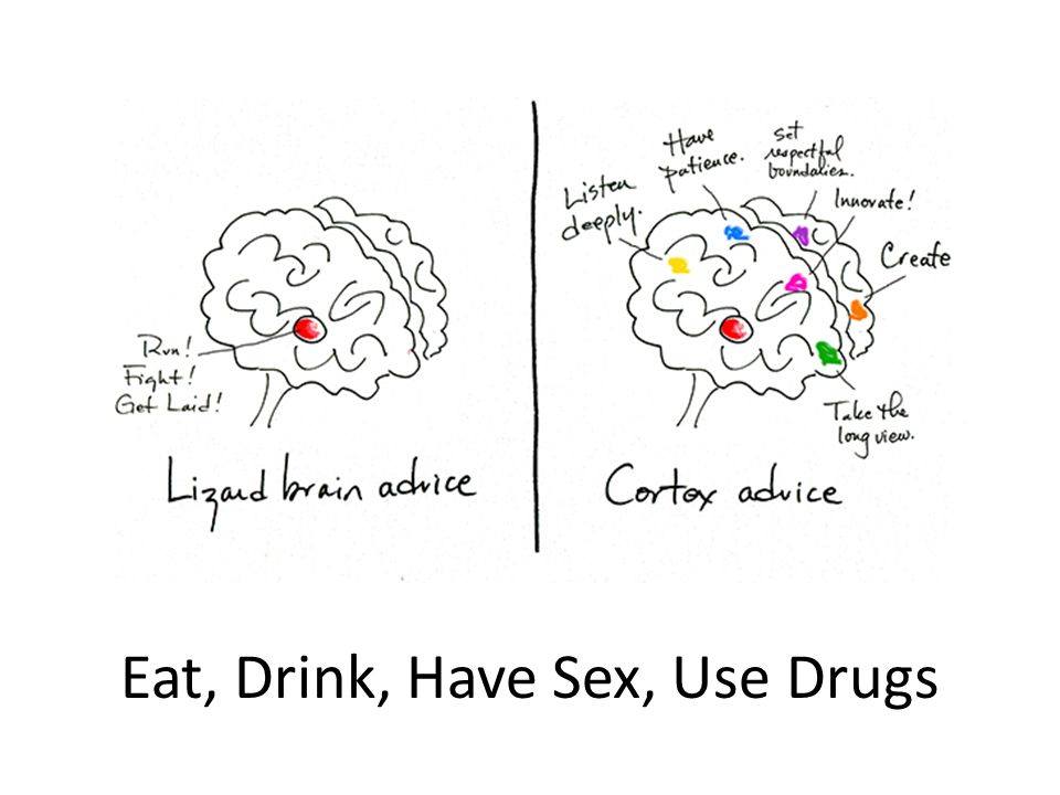 Eat, Drink, Have Sex, Use Drugs