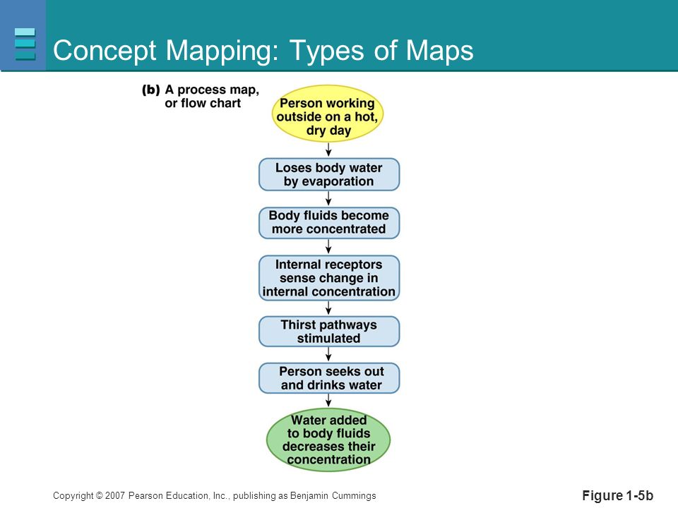 Copyright © 2007 Pearson Education, Inc., publishing as Benjamin Cummings Figure 1-5b Concept Mapping: Types of Maps