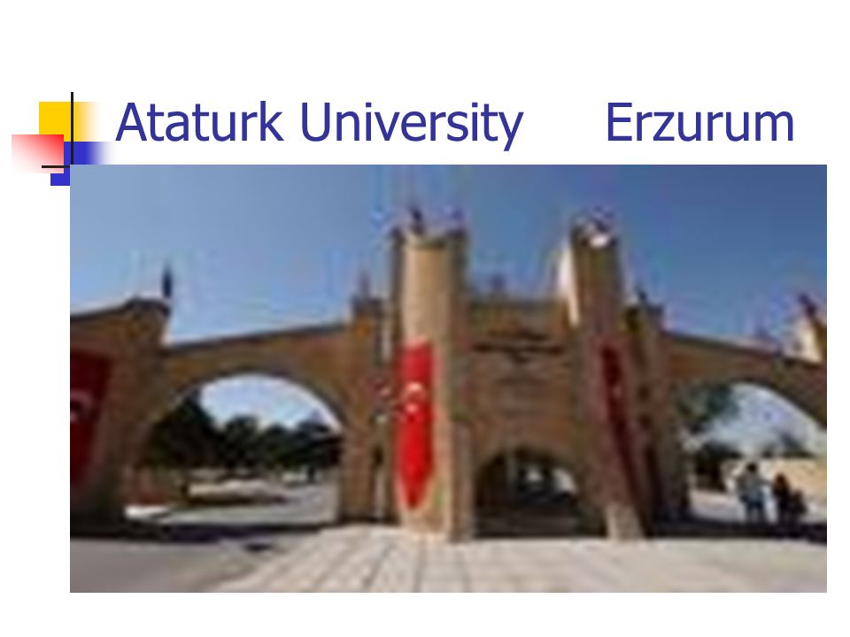 Ataturk University Erzurum