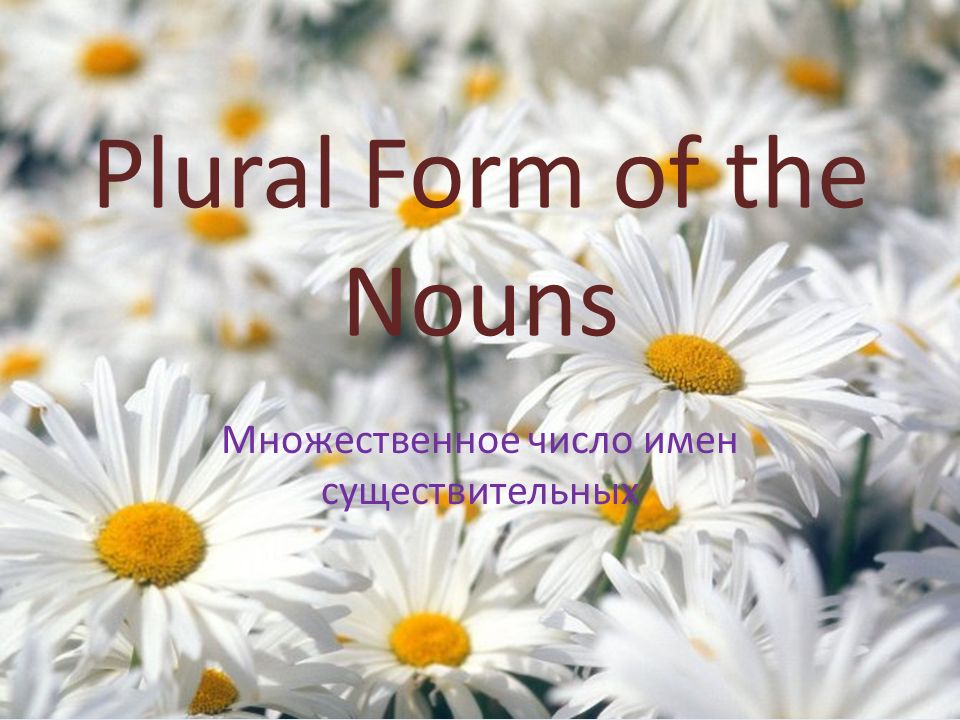 Plural Form of the Nouns Множественное число имен существительных