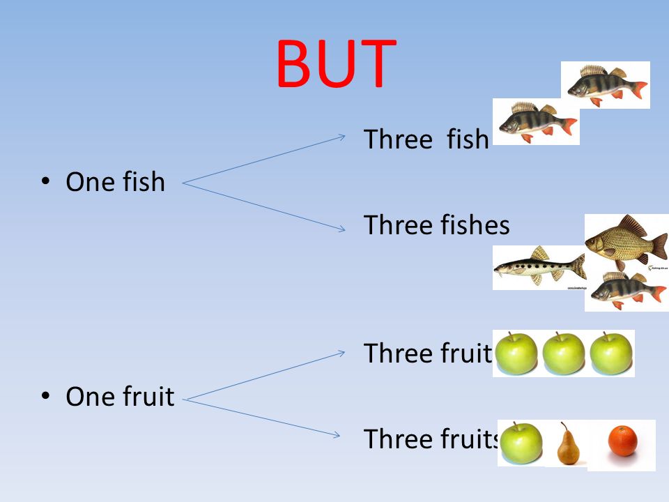 BUT Three fish One fish Three fishes Three fruit One fruit Three fruits