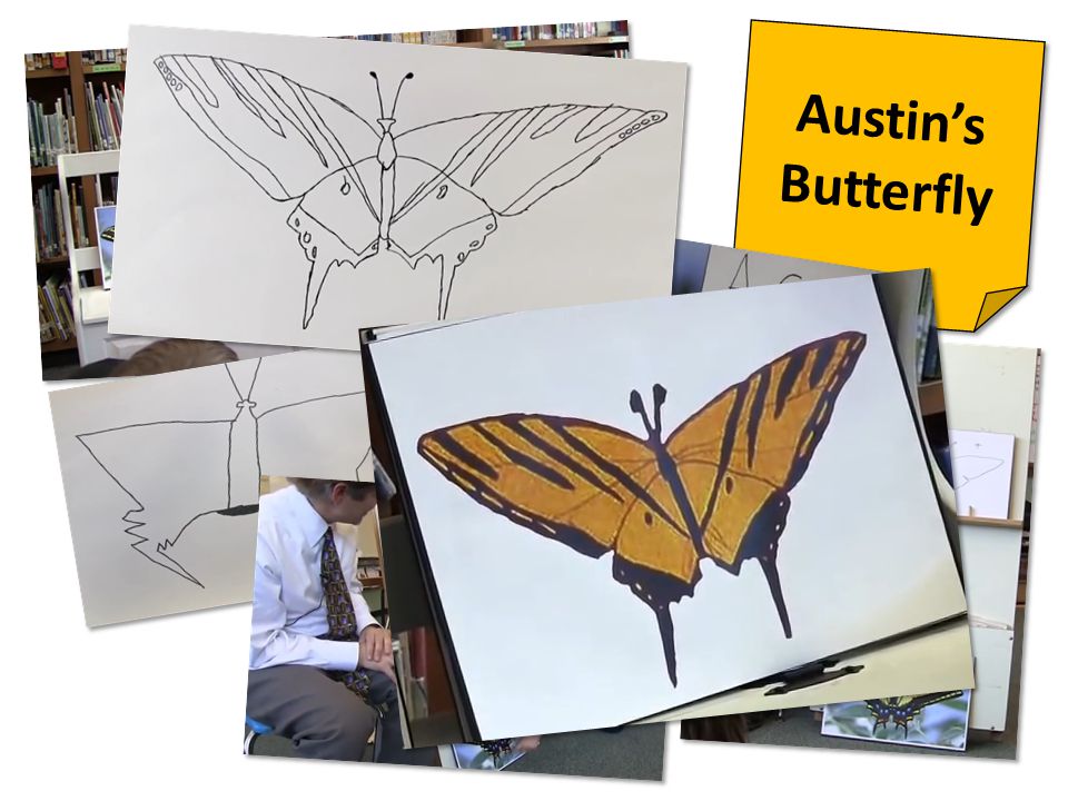 Austin’s Butterfly