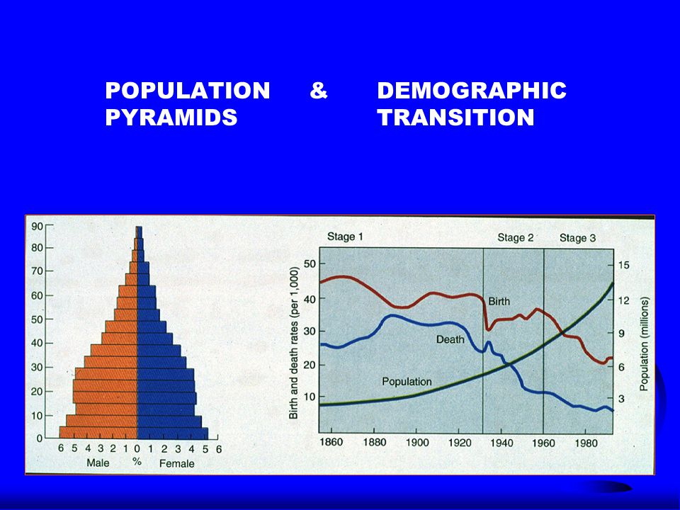 POPULATION & DEMOGRAPHIC PYRAMIDSTRANSITION