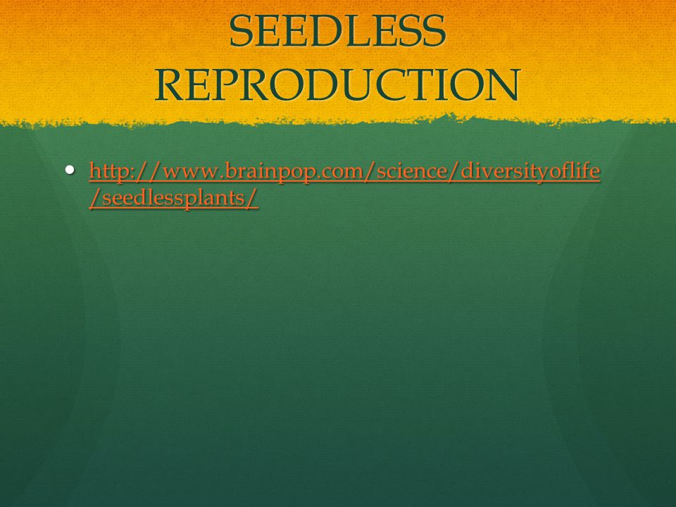 SEEDLESS REPRODUCTION   /seedlessplants/   /seedlessplants/   /seedlessplants/   /seedlessplants/