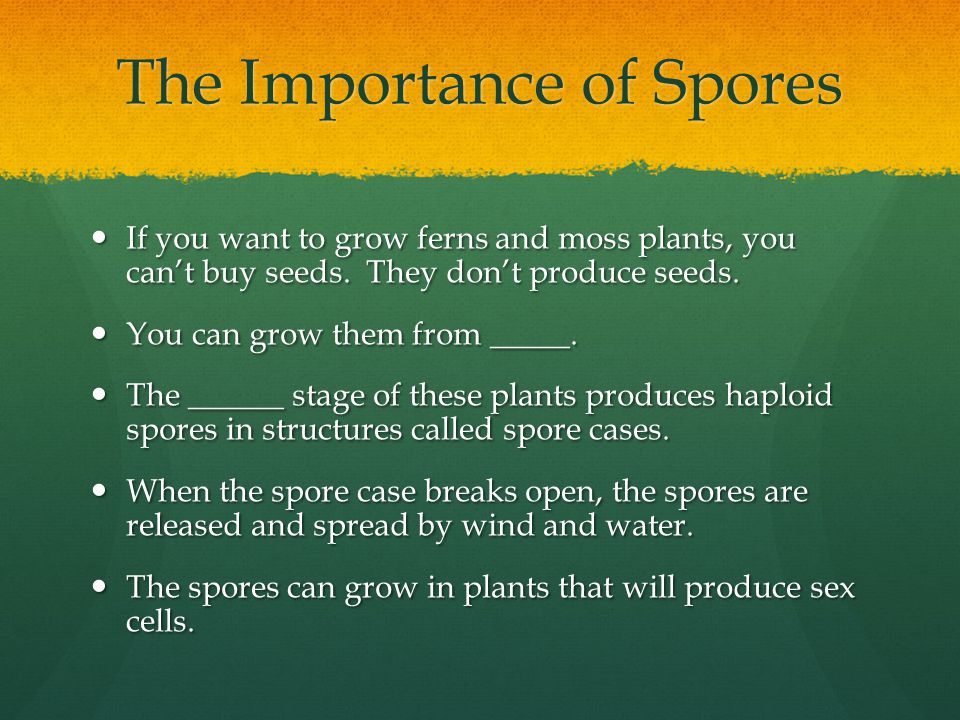 The Importance of Spores If you want to grow ferns and moss plants, you can’t buy seeds.