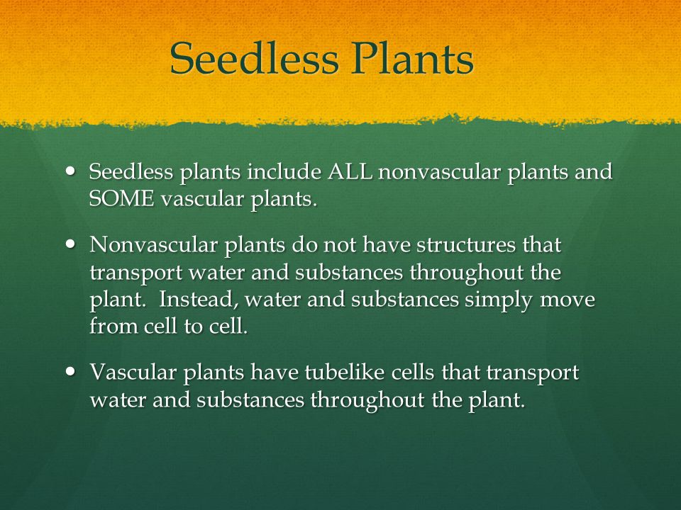 Seedless Plants Seedless plants include ALL nonvascular plants and SOME vascular plants.