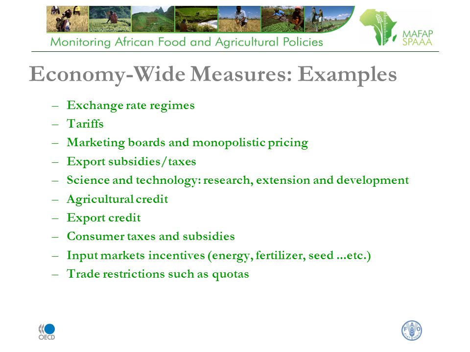 Economy-Wide Measures: Examples –Exchange rate regimes –Tariffs –Marketing boards and monopolistic pricing –Export subsidies/taxes –Science and technology: research, extension and development –Agricultural credit –Export credit –Consumer taxes and subsidies –Input markets incentives (energy, fertilizer, seed...etc.) –Trade restrictions such as quotas