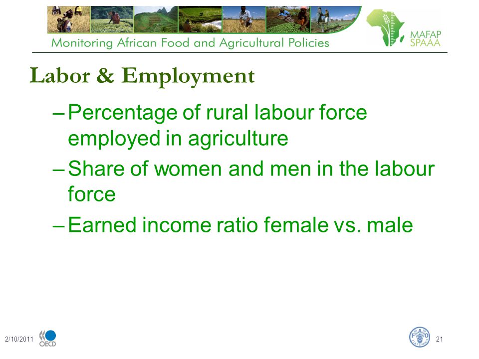 Labor & Employment –Percentage of rural labour force employed in agriculture –Share of women and men in the labour force –Earned income ratio female vs.