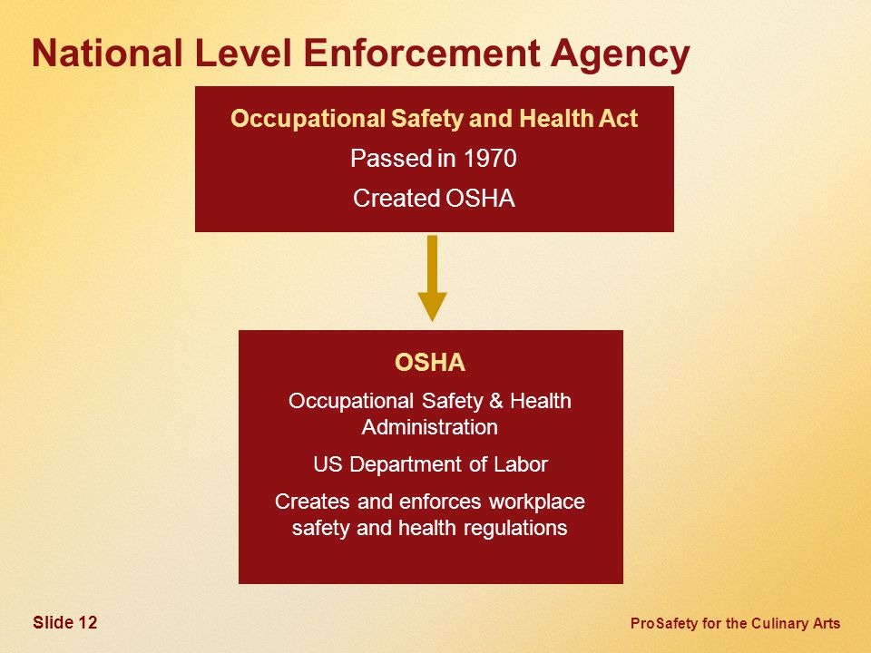 ProSafety for the Culinary Arts OSHA Occupational Safety & Health Administration US Department of Labor Creates and enforces workplace safety and health regulations Occupational Safety and Health Act Passed in 1970 Created OSHA National Level Enforcement Agency Slide 12