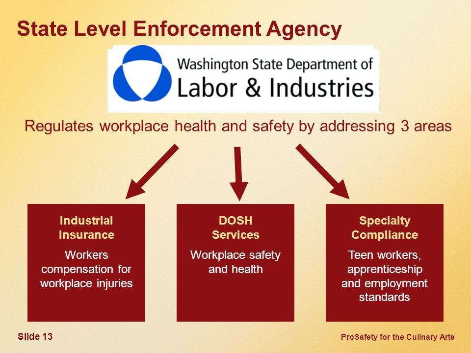 ProSafety for the Culinary Arts Industrial Insurance Workers compensation for workplace injuries DOSH Services Workplace safety and health Specialty Compliance Teen workers, apprenticeship and employment standards Regulates workplace health and safety by addressing 3 areas State Level Enforcement Agency Slide 13
