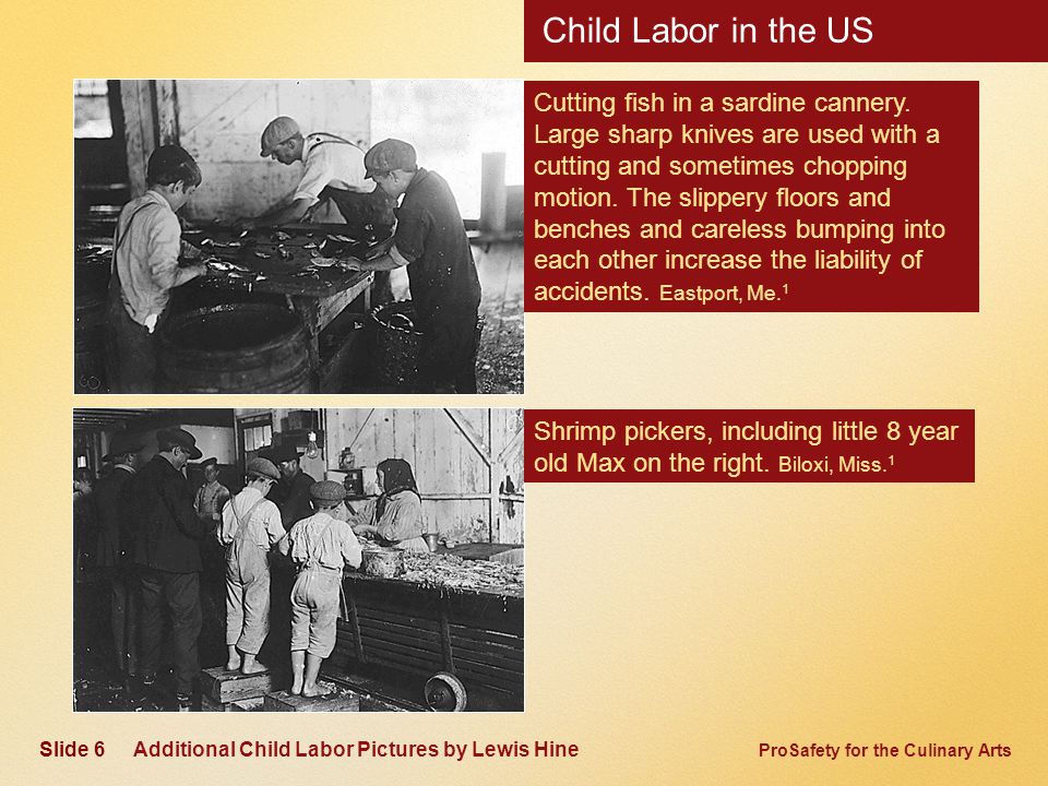 ProSafety for the Culinary Arts Child Labor in the US Additional Child Labor Pictures by Lewis Hine Shrimp pickers, including little 8 year old Max on the right.