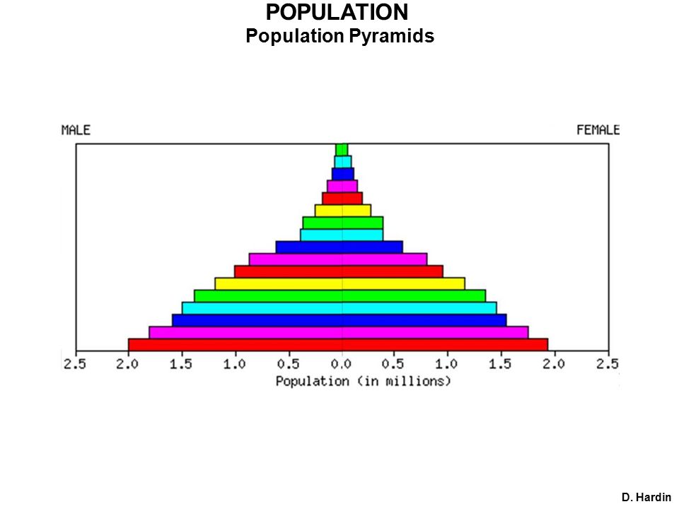 POPULATION Population Pyramids D. Hardin
