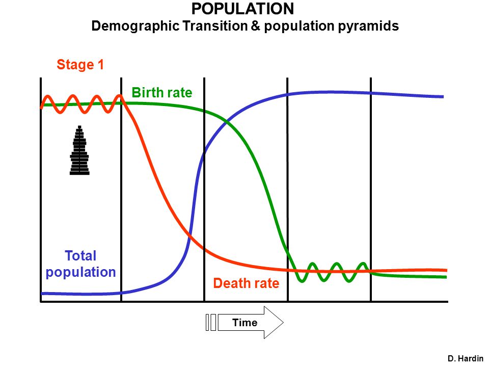 POPULATION Demographic Transition & population pyramids Time Birth rate Death rate Total population D.