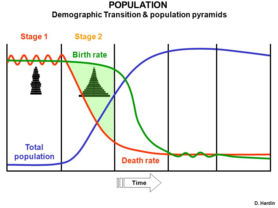 POPULATION Time Birth rate Total population Stage 1Stage 2 D.