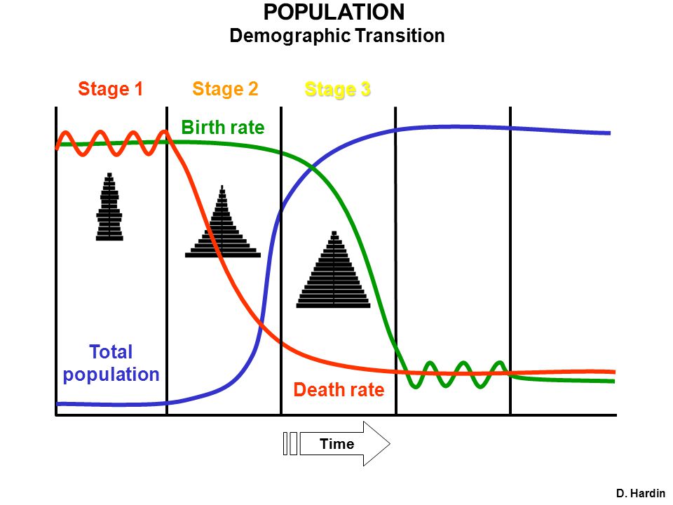 POPULATION Demographic Transition Time Birth rate Death rate Total population Stage 1Stage 2 Stage 3 D.