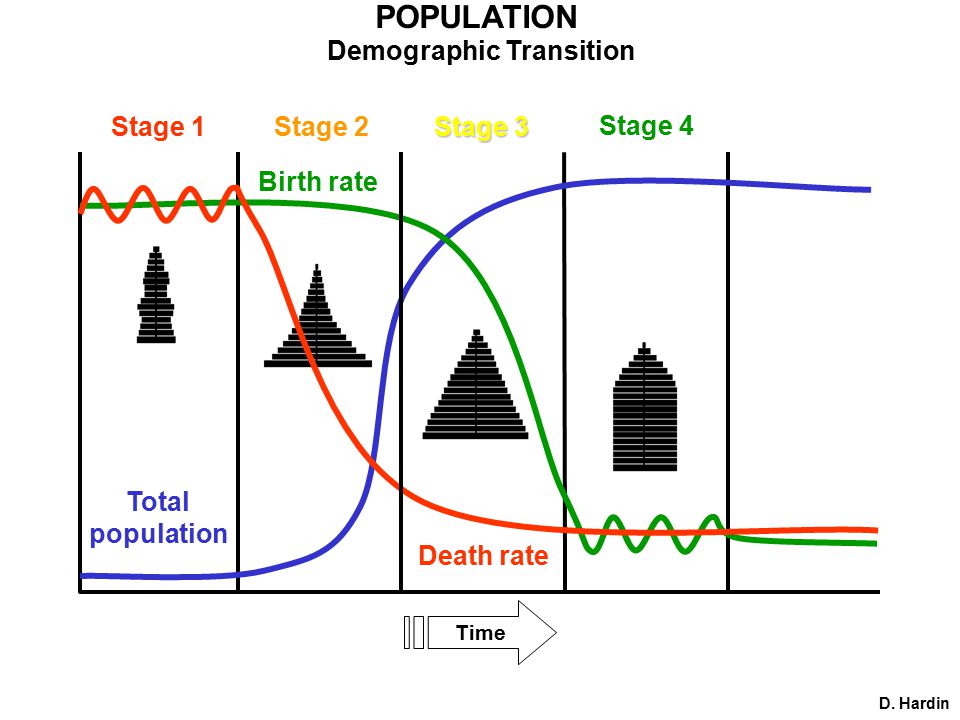 POPULATION Demographic Transition Time Birth rate Death rate Total population Stage 1Stage 2 Stage 3 D.