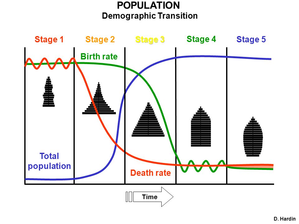 POPULATION Demographic Transition Time Birth rate Death rate Total population Stage 1Stage 2 Stage 3 Stage 5 D.