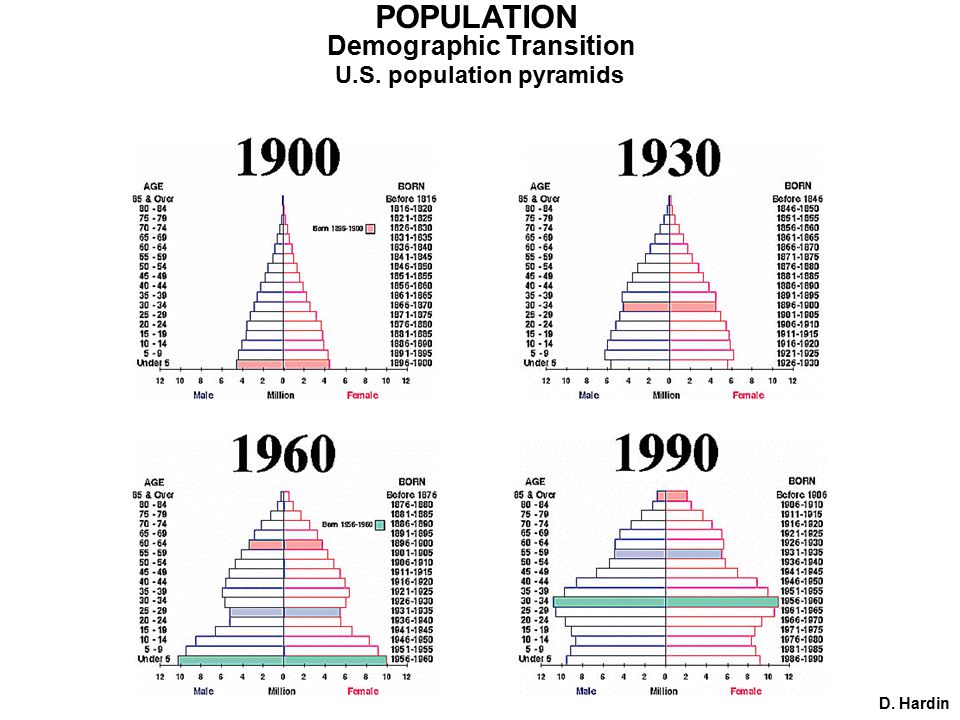 POPULATION Demographic Transition U.S. population pyramids D. Hardin