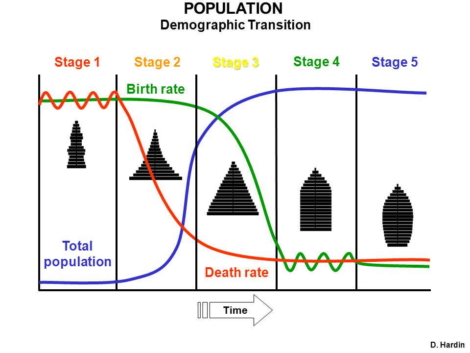 POPULATION Demographic Transition Time Birth rate Death rate Total population Stage 1Stage 2 Stage 3 Stage 5 D.