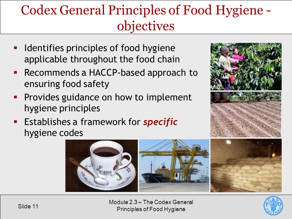 Slide 11 Module 2.3 – The Codex General Principles of Food Hygiene Codex General Principles of Food Hygiene - objectives  Identifies principles of food hygiene applicable throughout the food chain  Recommends a HACCP-based approach to ensuring food safety  Provides guidance on how to implement hygiene principles  Establishes a framework for specific hygiene codes
