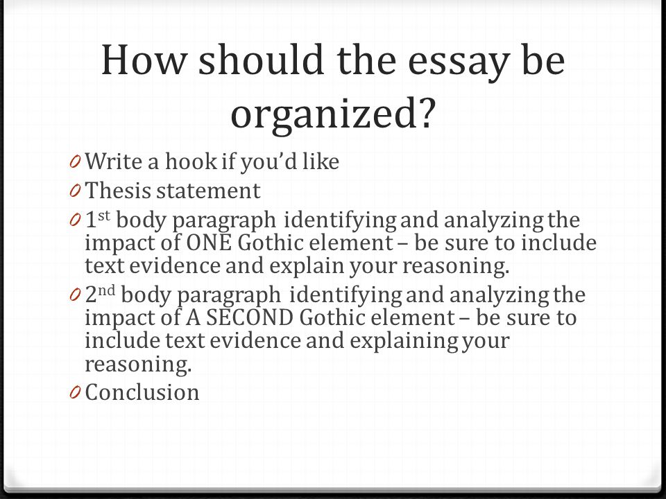 How should the essay be organized.