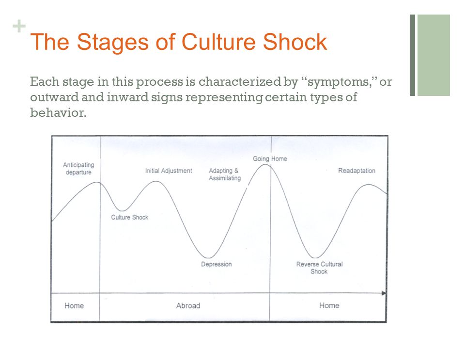 + The Stages of Culture Shock Each stage in this process is characterized by symptoms, or outward and inward signs representing certain types of behavior.