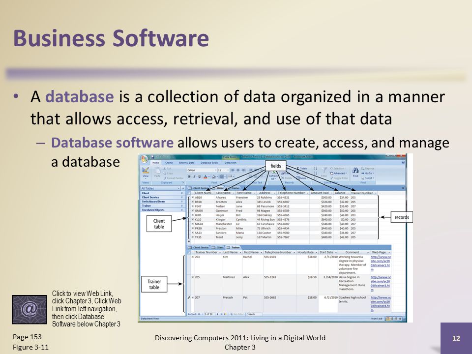 Business Software A database is a collection of data organized in a manner that allows access, retrieval, and use of that data – Database software allows users to create, access, and manage a database Discovering Computers 2011: Living in a Digital World Chapter 3 12 Page 153 Figure 3-11 Click to view Web Link, click Chapter 3, Click Web Link from left navigation, then click Database Software below Chapter 3