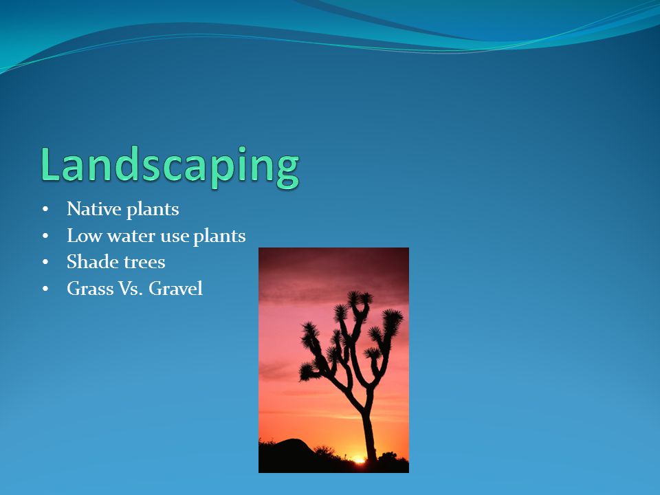 Native plants Low water use plants Shade trees Grass Vs. Gravel